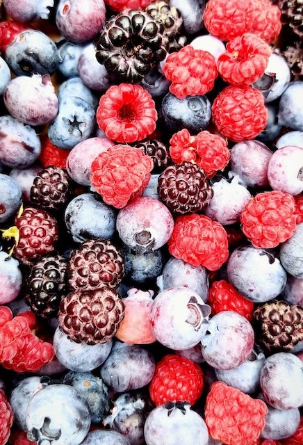 Unveiling the Power of Polyphenols: Can They Improve Gut Health?