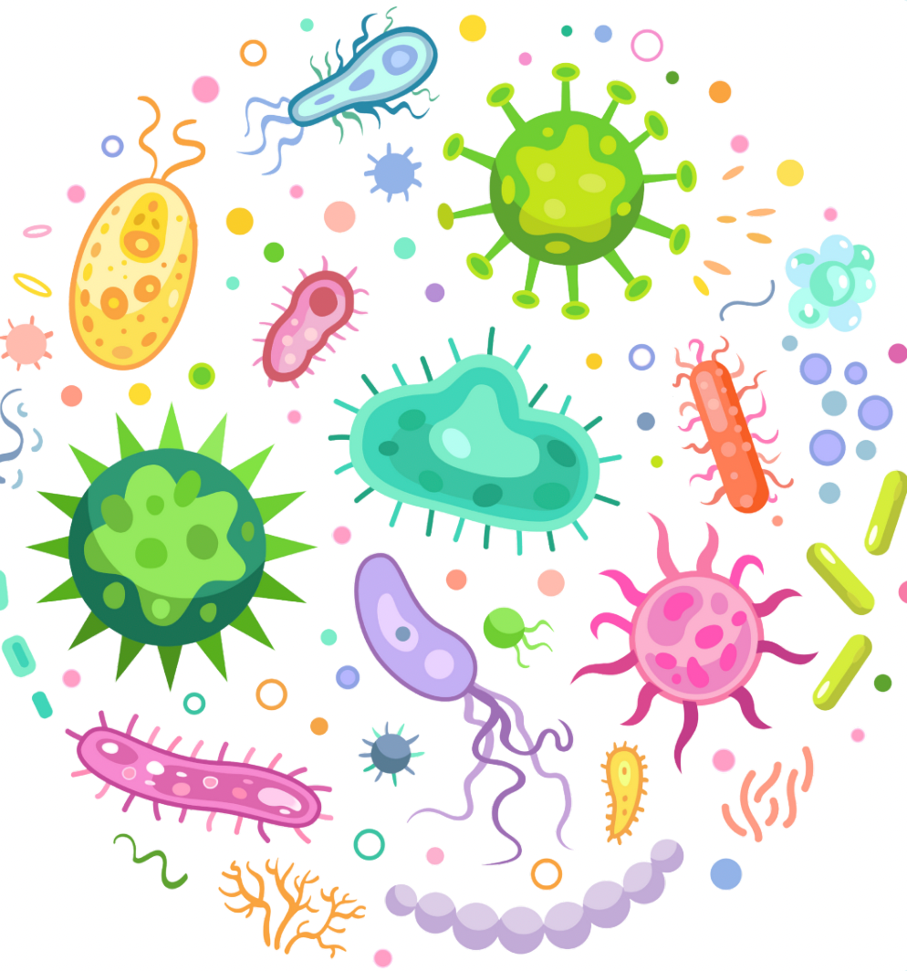 leaky gut bacteria