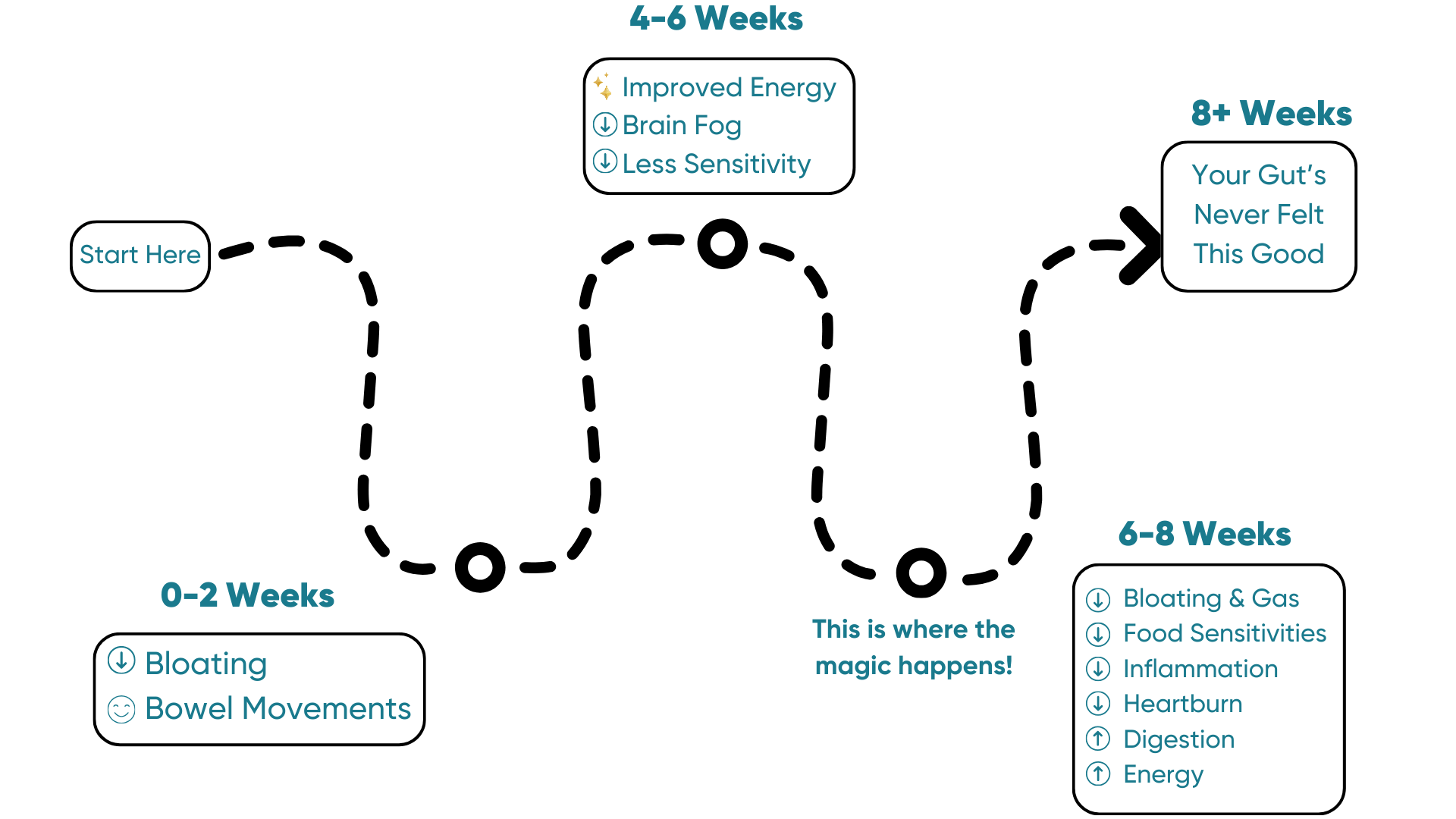 Stepping stones showing what to expect when you take DAYLY. Shows progress with lines and arrows, with boxes showing reduction in digestive symptoms