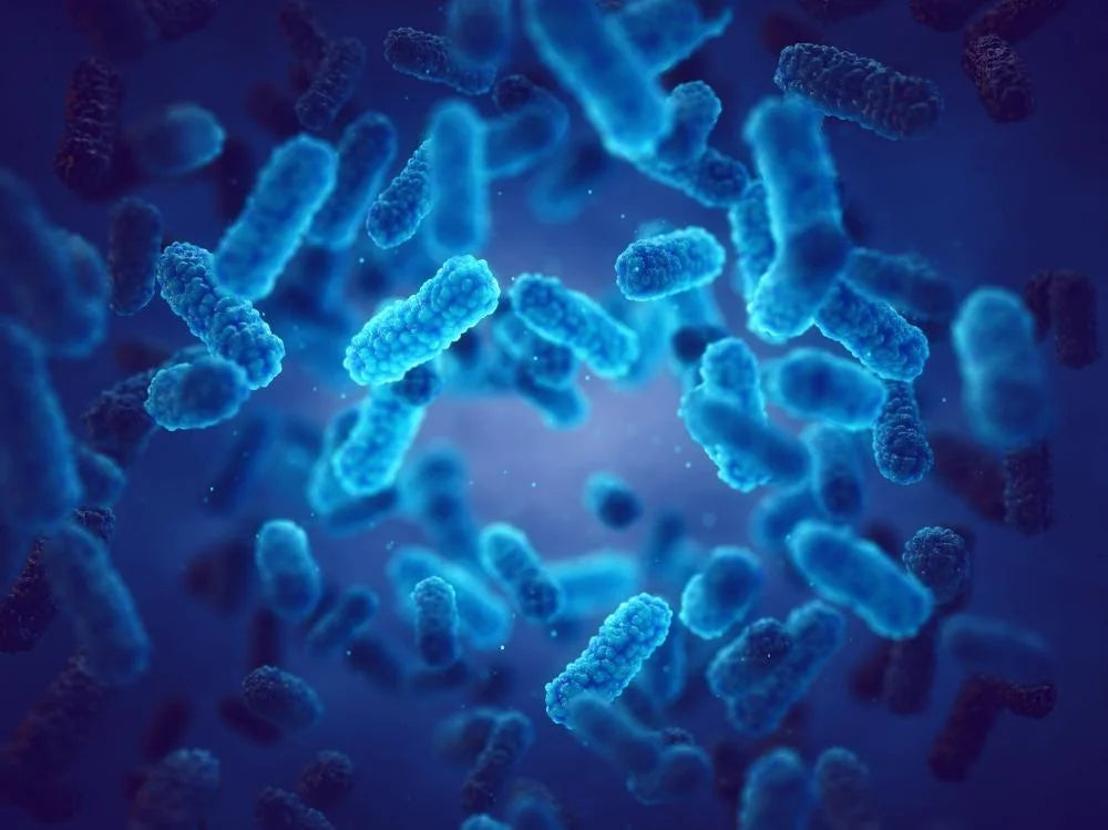 blue background with blue microscopic bacteria in foreground