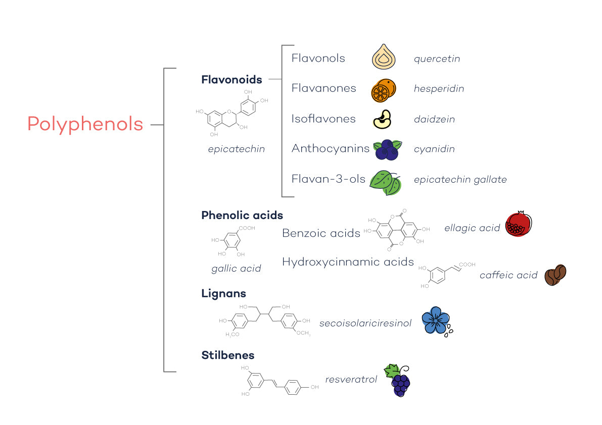 types of polyphenols