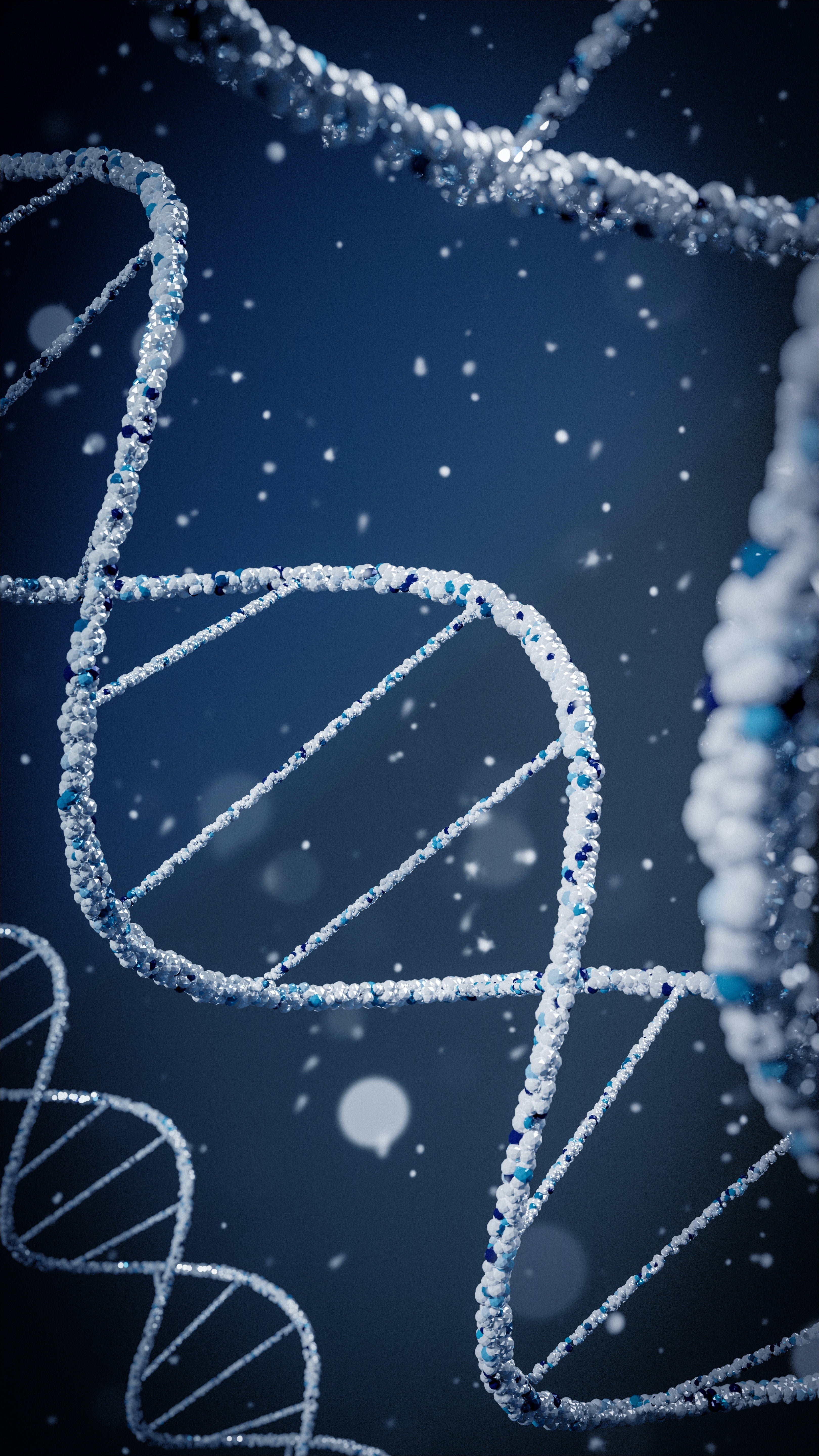 DNA molecule